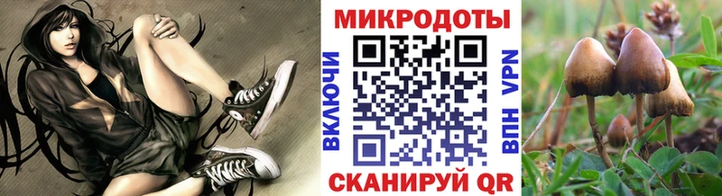где можно купить наркотик  Власиха  ссылка на мегу ONION  Галлюциногенные грибы прущие грибы 