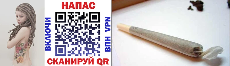 закладки  Власиха  Бошки марихуана сатива 